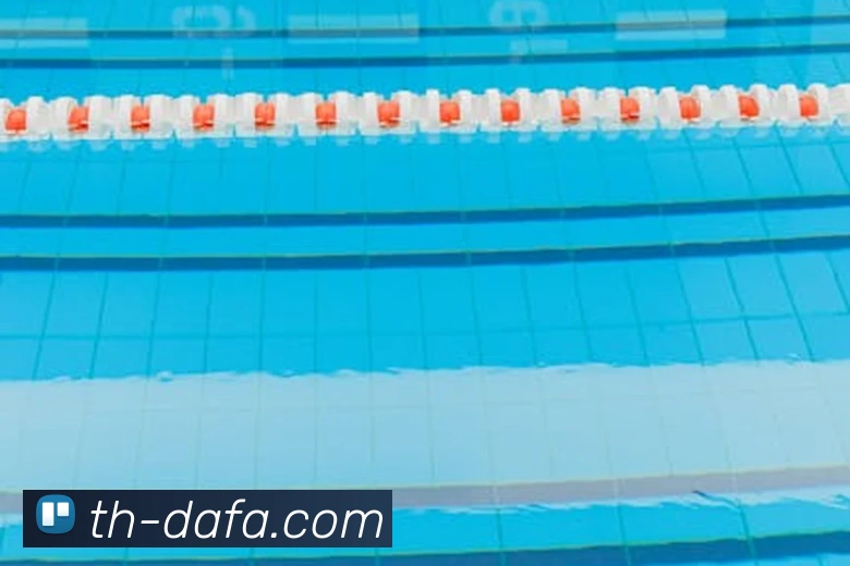 大发彩票APP 体育赛事宣传图